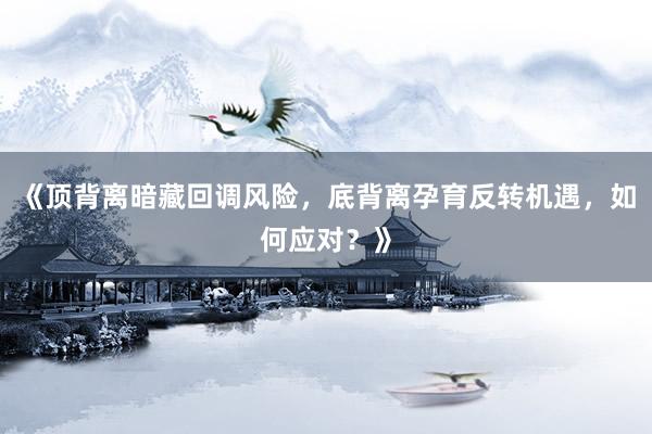 《顶背离暗藏回调风险，底背离孕育反转机遇，如何应对？》