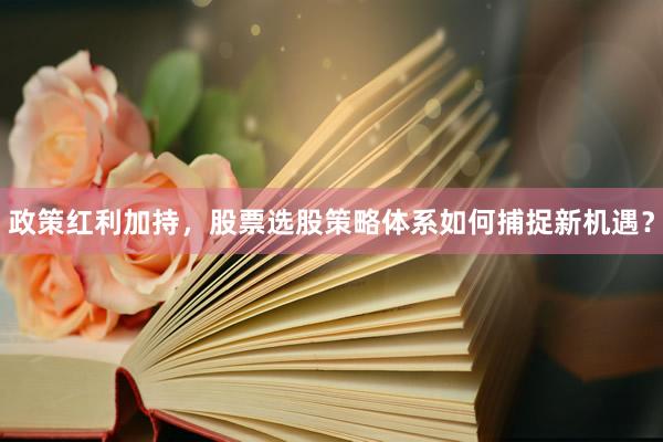 政策红利加持，股票选股策略体系如何捕捉新机遇？
